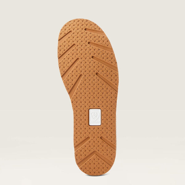 Cruiser Adobe - Tan and White Hair on