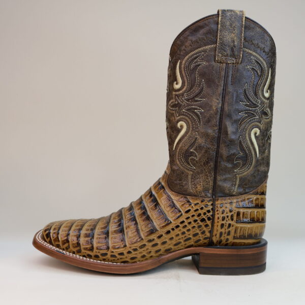 Cuatralba Caiman Belly Square Toe Boots