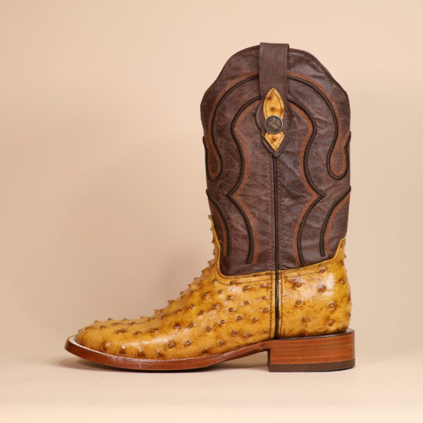 Ostrich Square Toe Boots – Saddle